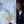 Load image into Gallery viewer, IN LOVING MEMORIES