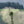 Load image into Gallery viewer, SEARCH > GEOGRAPHY > ERASURE > AFFECT