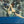 Load image into Gallery viewer, SYNC'S SWIM VS SIN'S SWIM