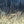 Load image into Gallery viewer, TERROIR