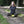 Load image into Gallery viewer, THIS IS NOW