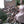 Load image into Gallery viewer, THIS IS NOW