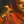 Load image into Gallery viewer, TINA, PETITE SOEUR DU LAC PICHOLA