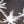 Load image into Gallery viewer, STRANDED