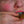 Load image into Gallery viewer, HOW TO SPOT AN ANOREXIC