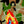Load image into Gallery viewer, HOOPING 2