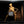 Load image into Gallery viewer, ROC ROC CHICKEN HAWK