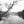 Load image into Gallery viewer, STRAVAIG/ERRANCE