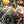 Load image into Gallery viewer, MONTREAL STAR