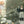 Load image into Gallery viewer, OCTOPUS