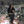 Load image into Gallery viewer, DES SQUATTEUREUSES