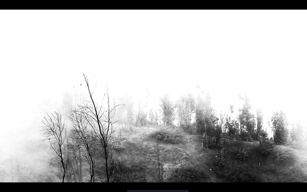BURNED LAND / TIERRA QUEMADA