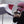 Load image into Gallery viewer, 75 ANS ET 365 JOURS
