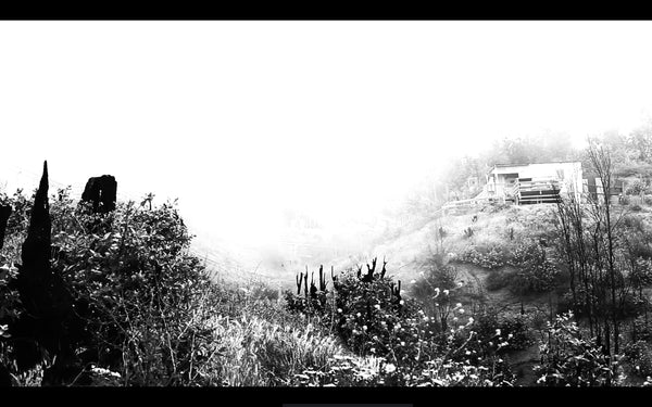BURNED LAND / TIERRA QUEMADA