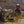 Load image into Gallery viewer, DUMPSTER DUCHESS
