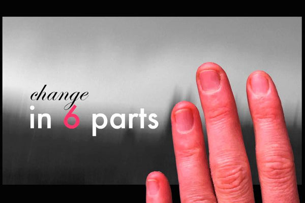 CHANGE IN 6 PARTS