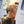 Load image into Gallery viewer, DUMPSTER DUCHESS
