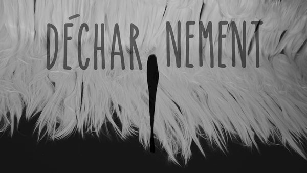 DÉCHARNEMENT