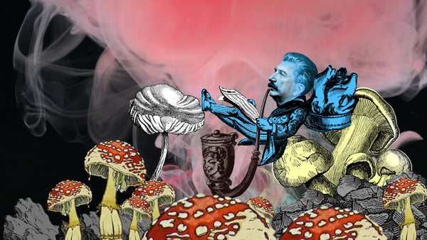 DOWN THE RABBIT HOLE OR SHADOWS OF UNFORGOTTEN ANCESTORS