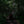 Load image into Gallery viewer, I LEAVE MY LITTLE HEART IN MY MOTHER'S CHEST
