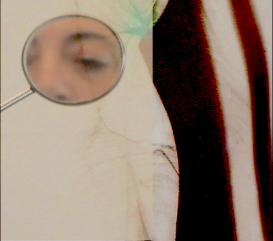 PAYSAGE AVEC MIROIR / LANDSCAPE WITH MIRROR (PAYSAJE CON ESPEJO)