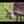 Load image into Gallery viewer, TULOMATKA : LE CHEMIN DU RETOUR
