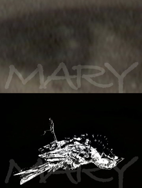 MARY