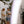 Load image into Gallery viewer, HUIT JUILLETS
