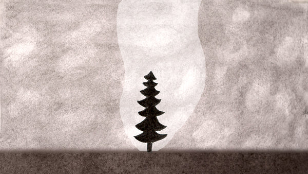THE SPIRITUAL LIFE OF A SPRUCE