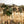 Load image into Gallery viewer, ESTERA - MAT
