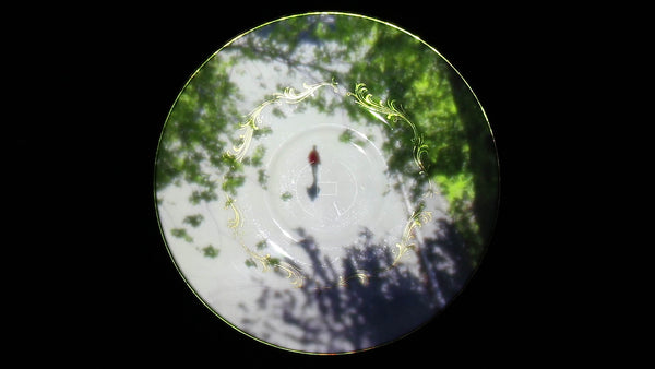 WHITE SAUCER: SURVEILLANT EYE / LA SOUCOUPE BLANCHE : OEIL SURVEILLANT