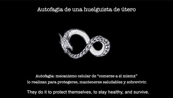 AUTOPHAGY OF A UTERUS STRIKER
