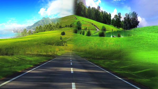 LANDSCAPE