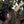 Load image into Gallery viewer, THE HOUSE OF OLGA

