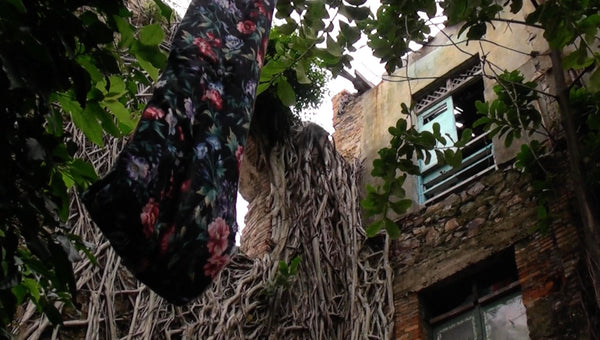 THE HOUSE OF OLGA