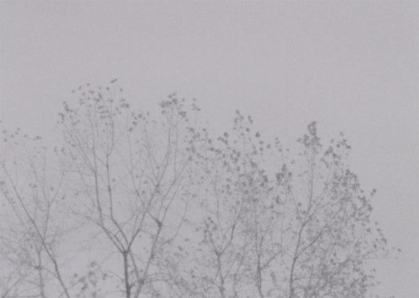 ON BREATHING