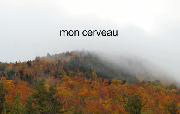 PARFOIS