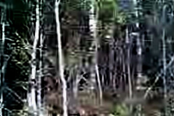 TERROIR