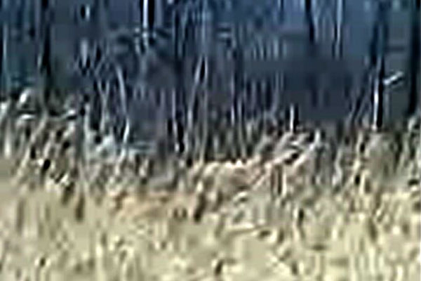 TERROIR