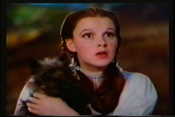 ODE TO DOROTHY