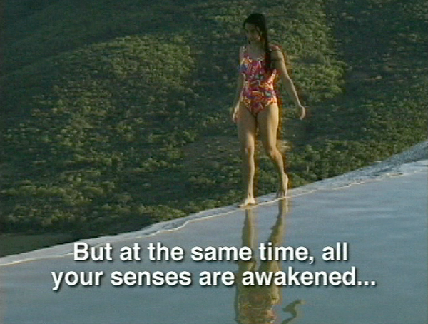 GLIMPSES AND FLASHES / ATISBOS Y DESTELLOS