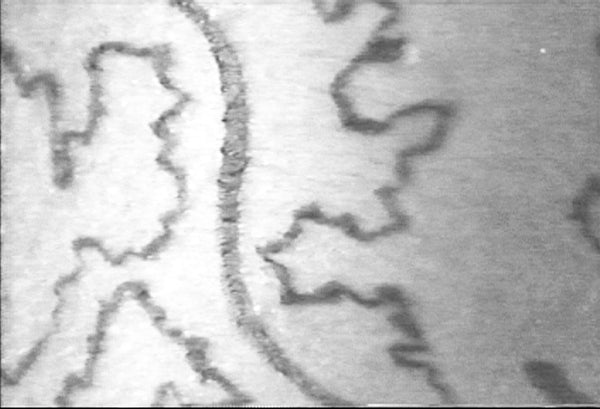 UNMAPPING DESIRE